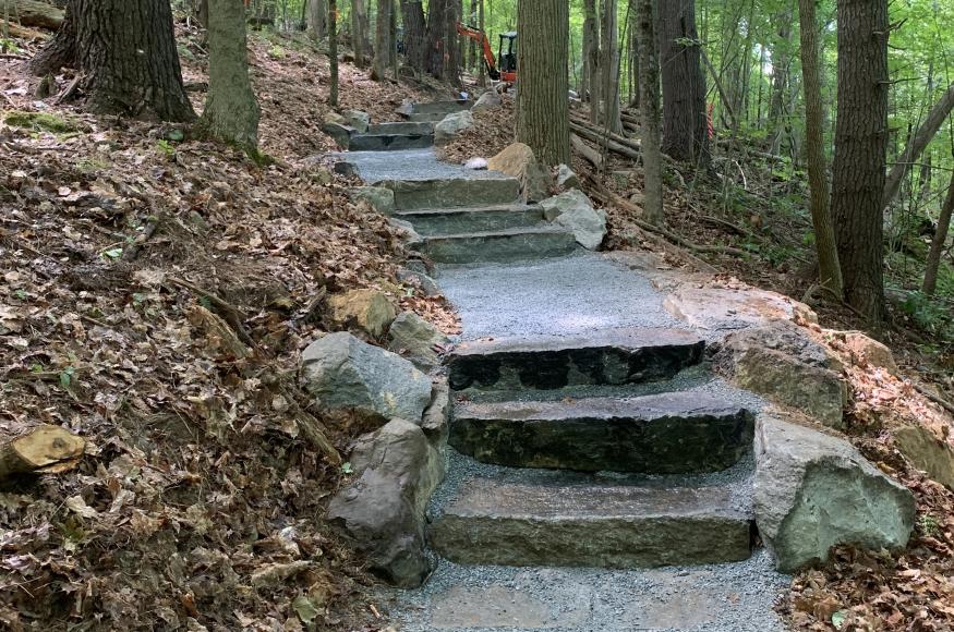 View of a newly constructed trail