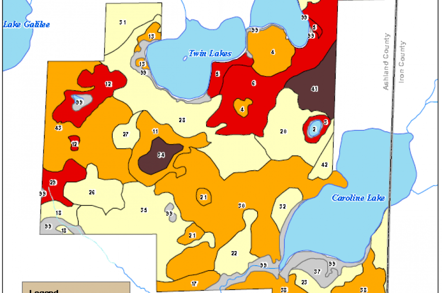 Risk categories for overstory trees across the Caroline Lake Preserve under a mild climate change scenario. 
