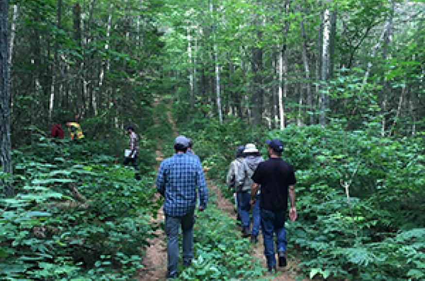 Foresters touring the Petawawa Research Forest ASCC site. Photo Credit: Courtney Peterson, Colorado State University..
