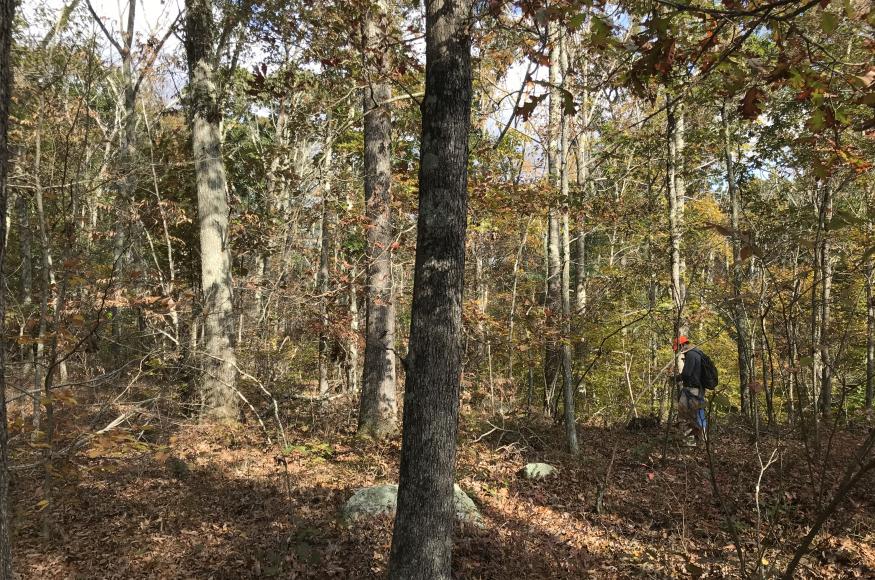 Research partners at Mohegan State Forest. Photo Credit: Amanda Bunce, University of Connecticut 