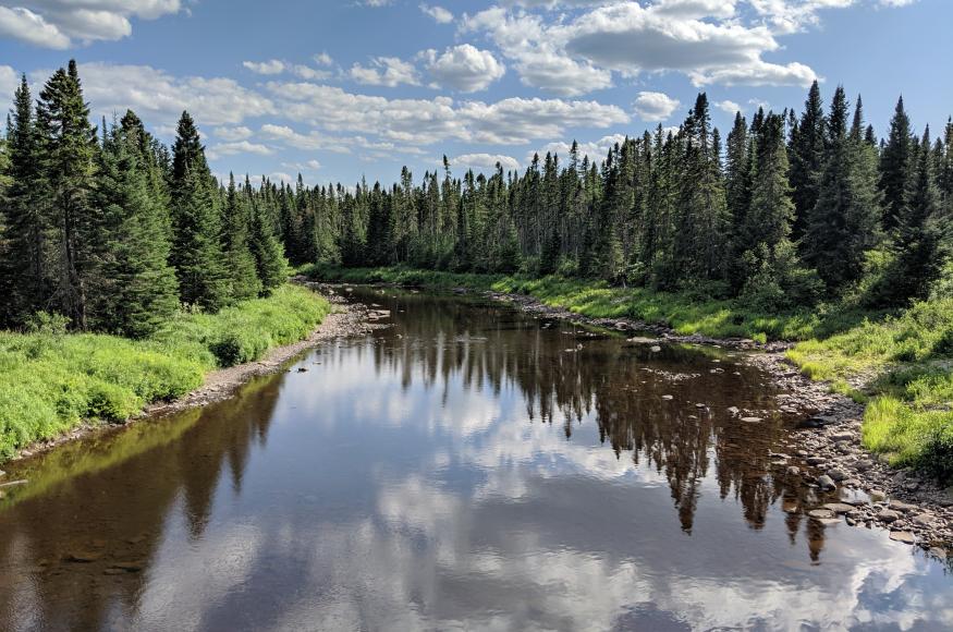 A calm river with conifers on each side.