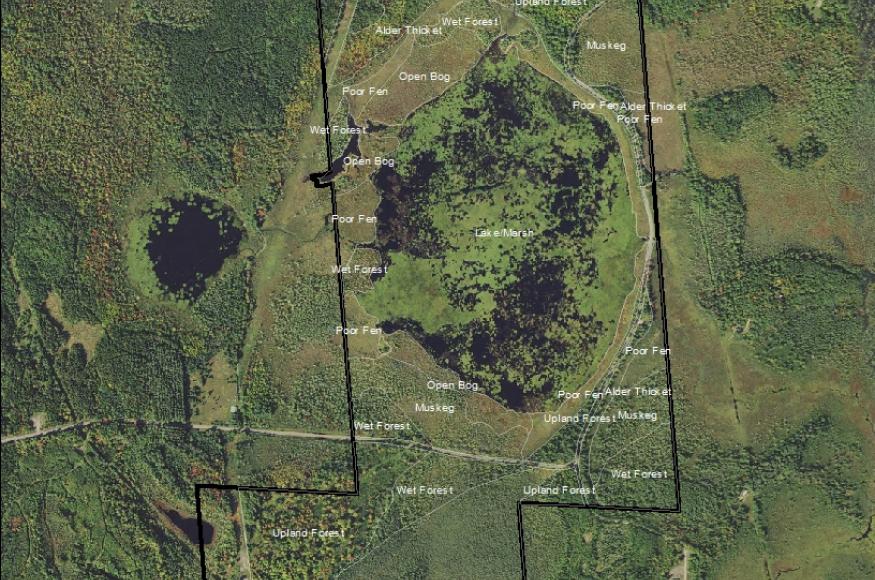 Spur lake natural communties