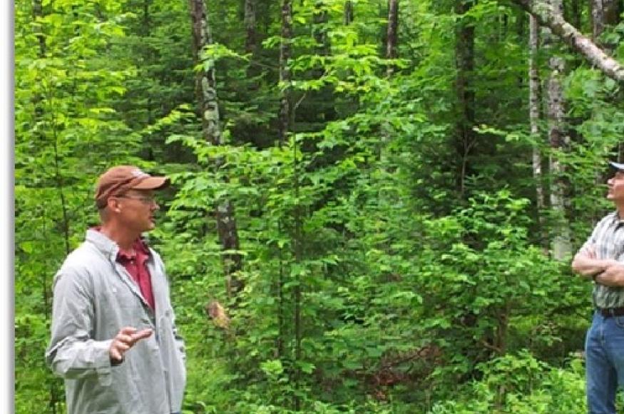 Matt Dallman (TNC) leading a tour of the Caroline Lake Property