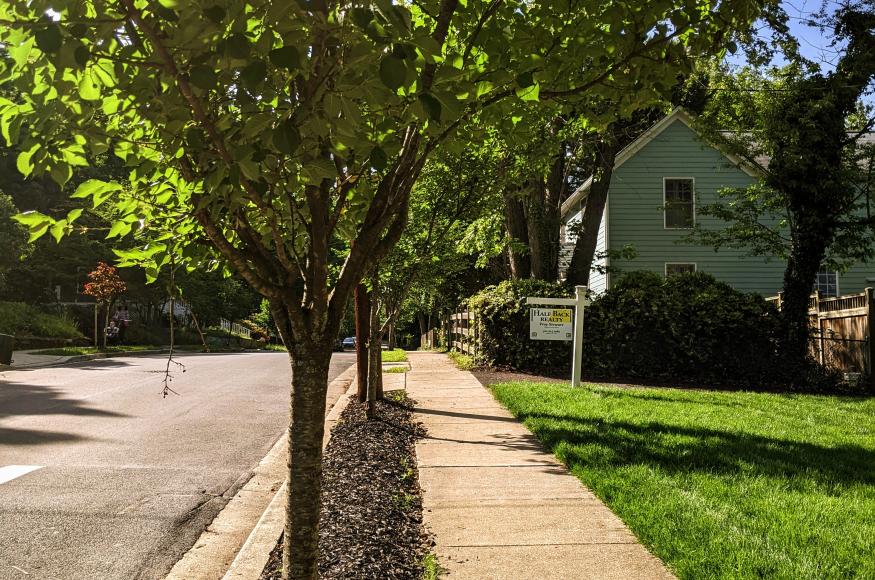 Street tree planting