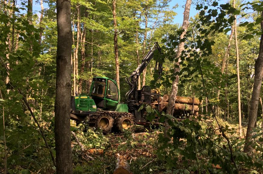 forest harvest equipment in the woods