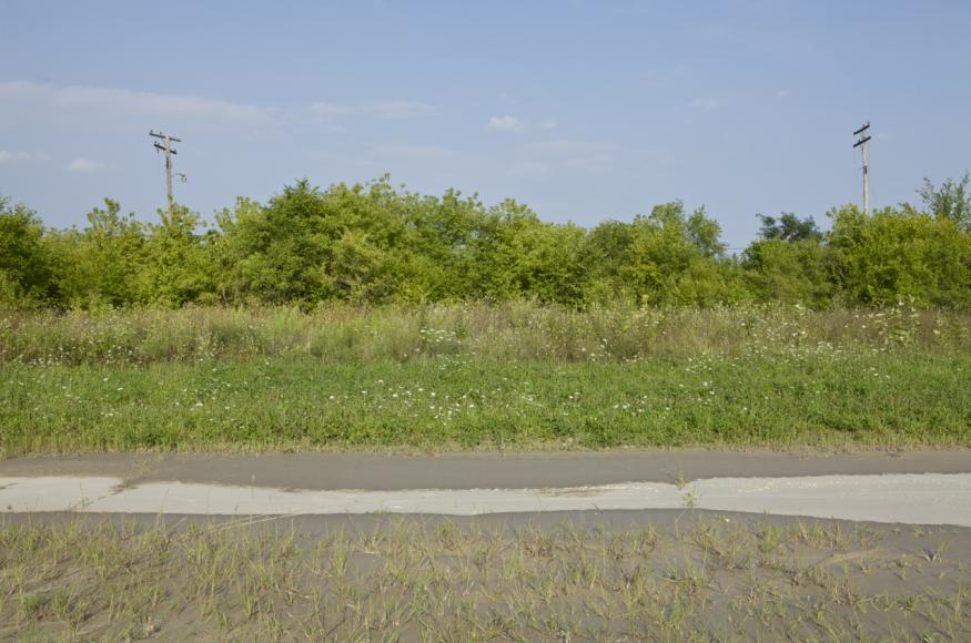 Vacant Lot Mowing Creates Stratified Conditions.