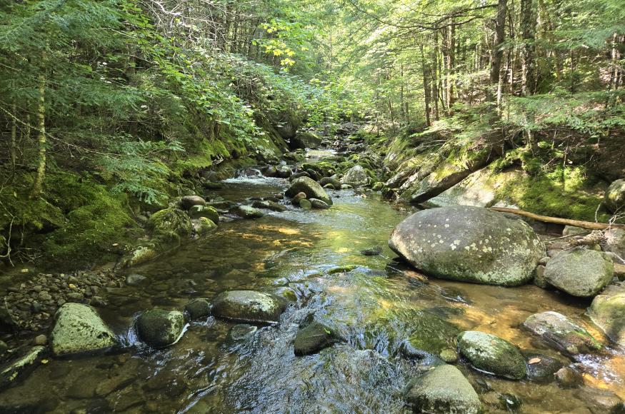 Walker Brook