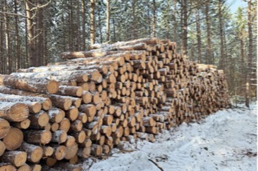 Forest products