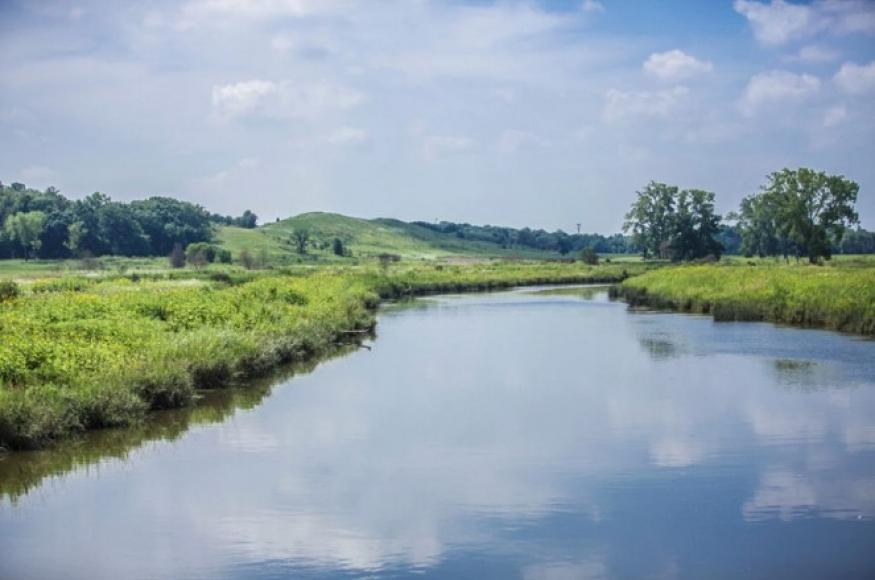 photo of a stream with native vegetation 