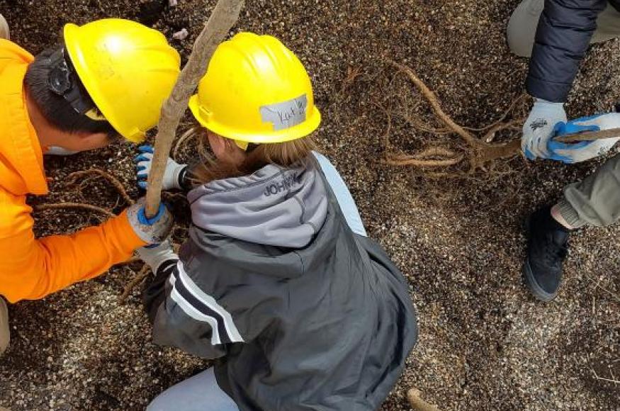 May 2019 bareroot tree planting. Photo credit: MN Science Museum