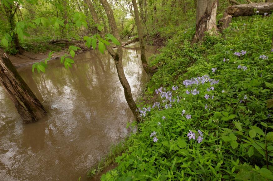 Flooded area