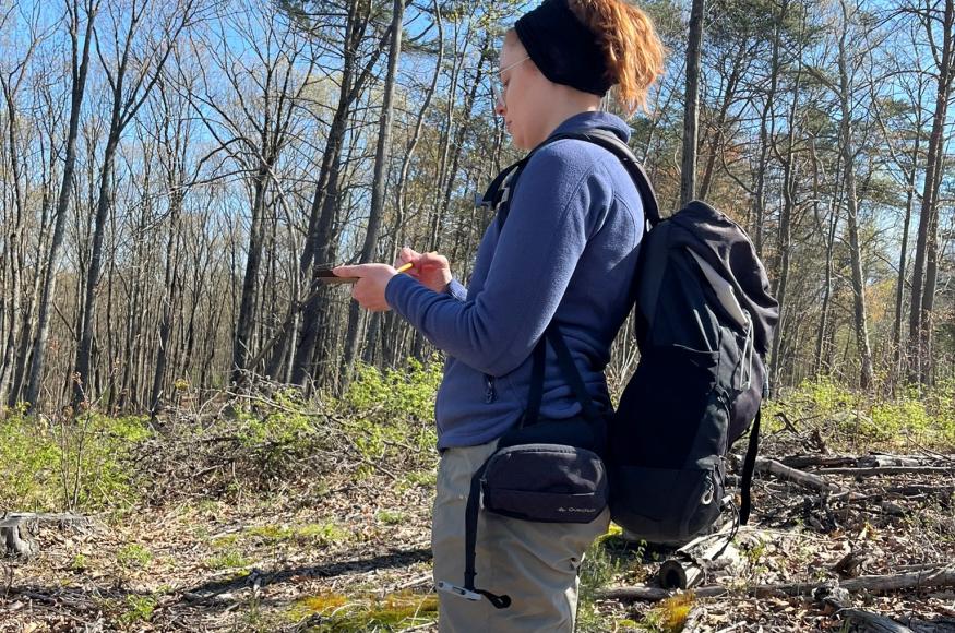 A researcher stands in a forest clearing at Stone Valley Experimental Forest. 