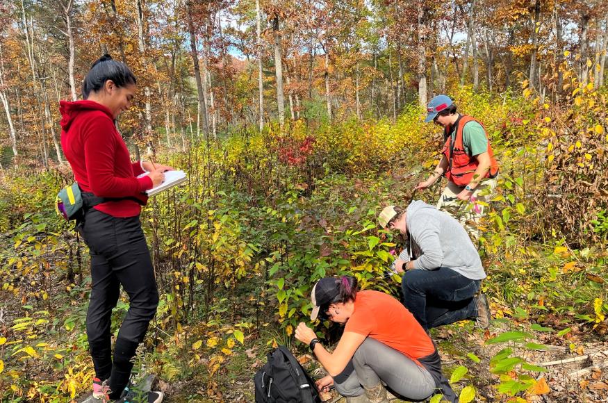 Researchers collect field data for guiding management at the CCAR site.