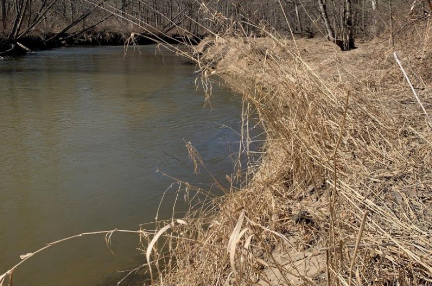 Streambank at Columbus county park