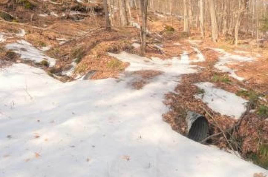 Culvert in the project area.