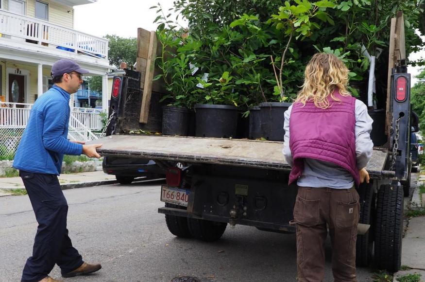 Loading trees onto a truck