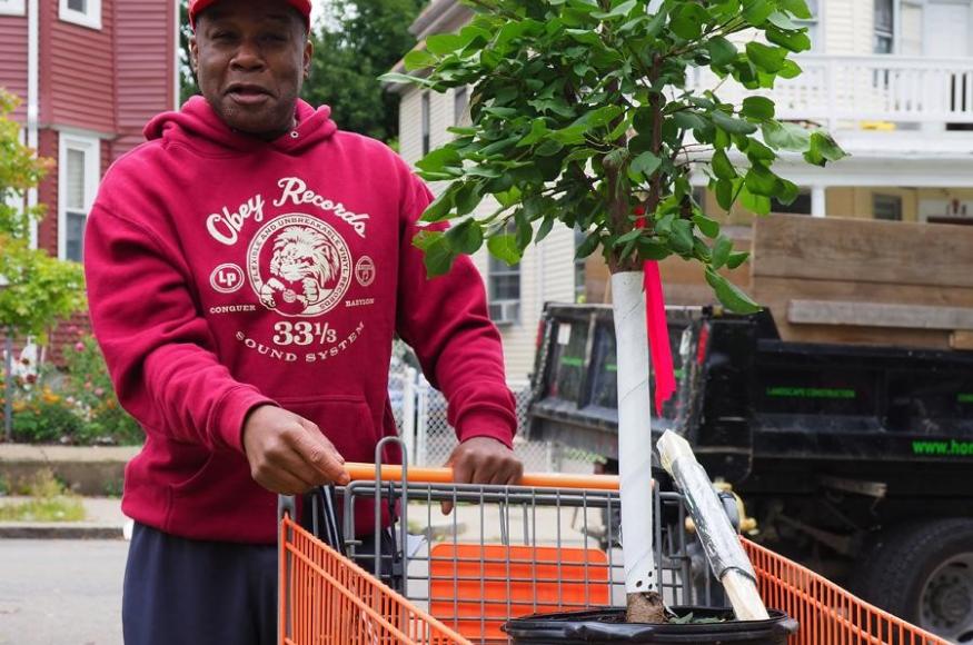 A happy person with a tree in a shopping cart